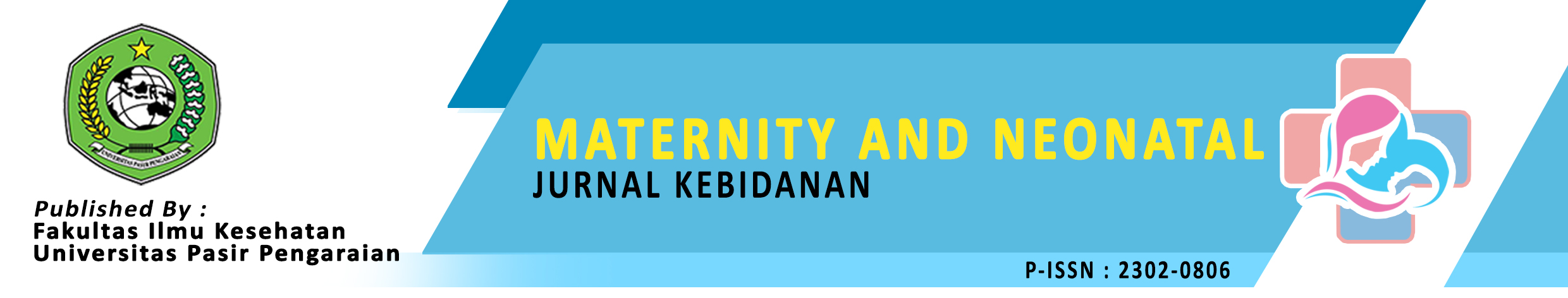 our editor speaking at the PKP conference